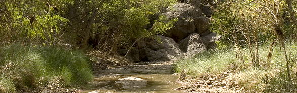 Cienega Creek