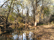 yaqui river drainage